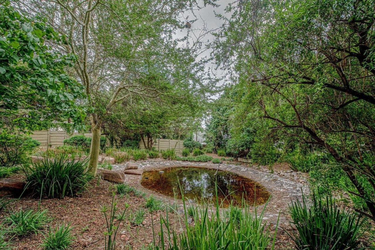 Wild Olive Executive Suite Johannesburg Exteriér fotografie