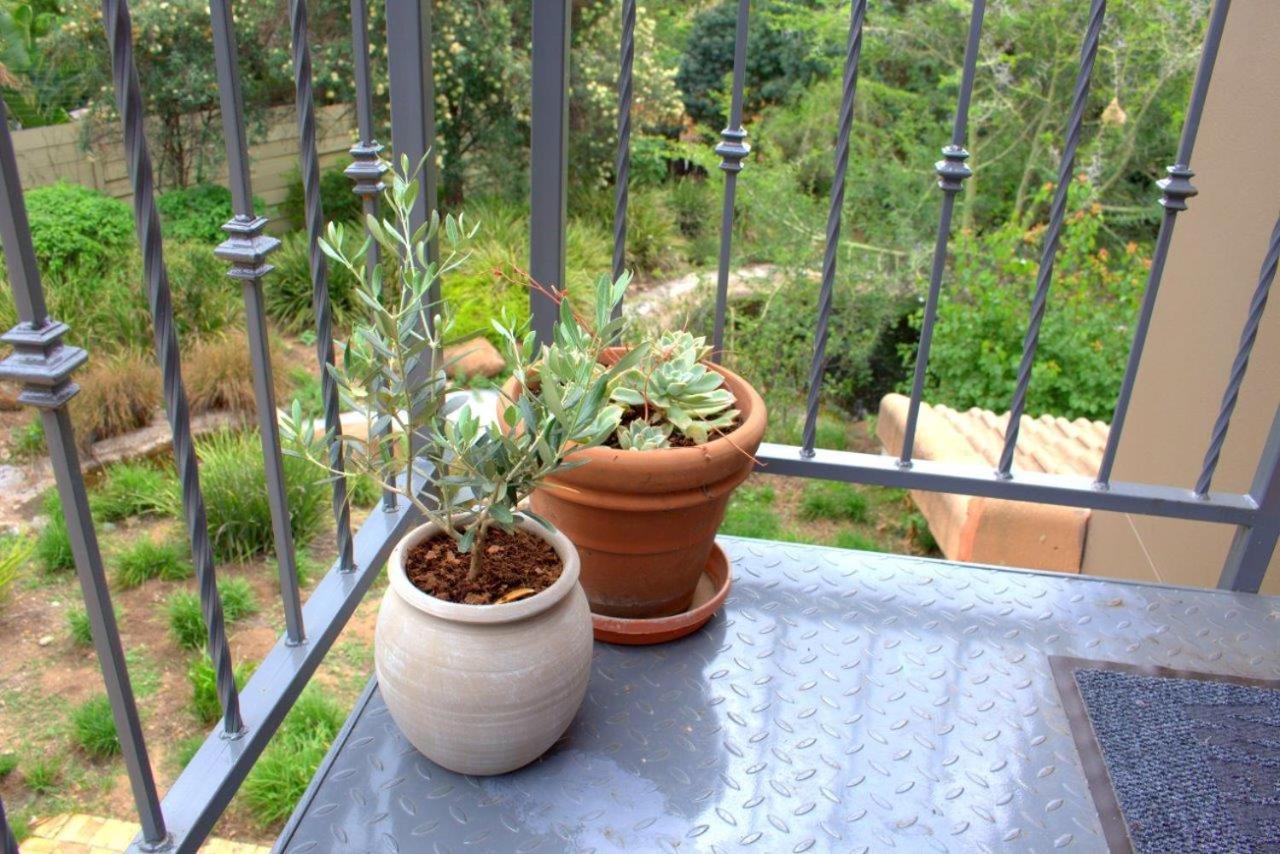 Wild Olive Executive Suite Johannesburg Exteriér fotografie