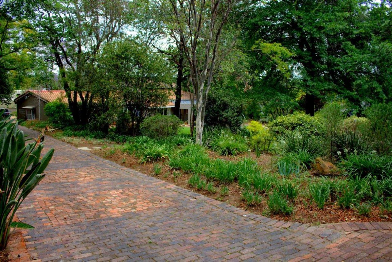 Wild Olive Executive Suite Johannesburg Exteriér fotografie
