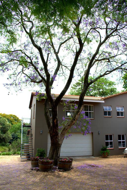 Wild Olive Executive Suite Johannesburg Exteriér fotografie